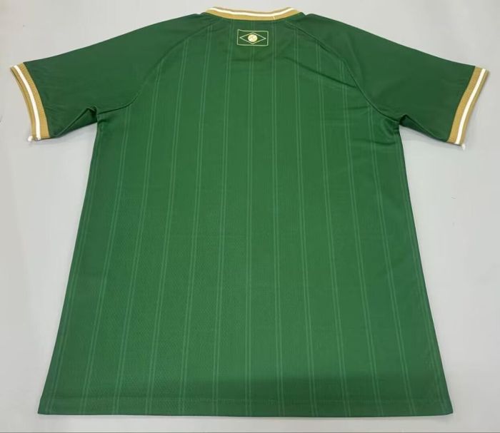 Fan Version 2026-2027 Vasco Da Gama Green Special Edition Soccer Jersey Footall Training Shirt