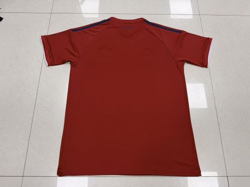 Fan Version 2026-2027 Hamburg Third Away Red Soccer Jersey Hamburger Football Shirt