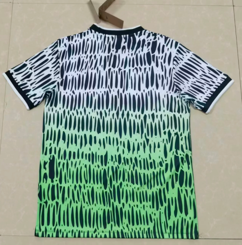 Fan Version 2026 Nigeria White/Green Soccer Training Jersey Football Shirt