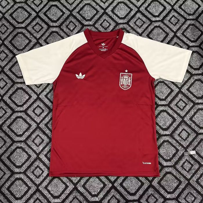 Fan Version 2026 Spain Red Soccer Pre-match Jersey España Camisetas de Futbol