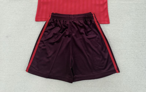 Fan Version 2026-2027 Lyon Away Red Soccer Shorts Football Shorts