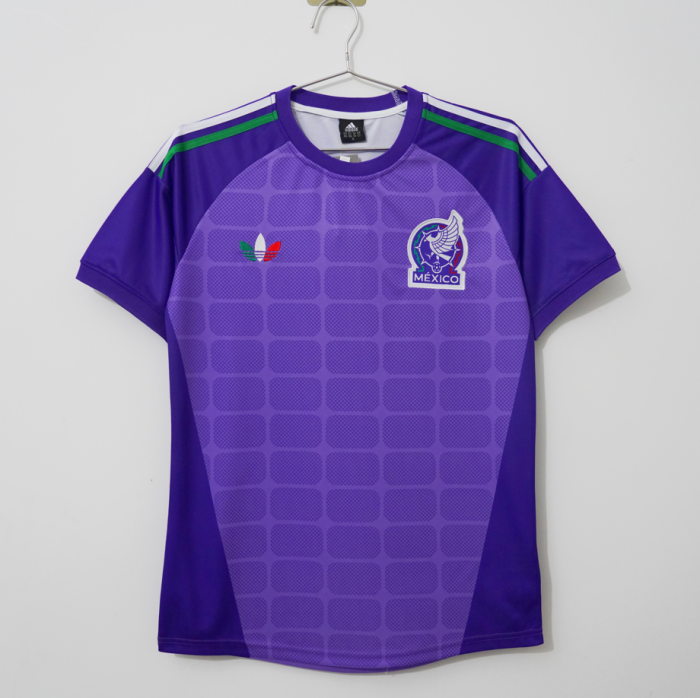 Fan Version 2026 Mexico Purple Goalkeeper Soccer Jersey Football Shirt