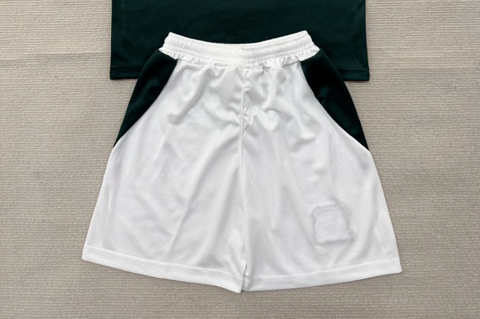 Fan Version 2026-2027 Plymouth Argyle Home Soccer Shorts Football Shorts