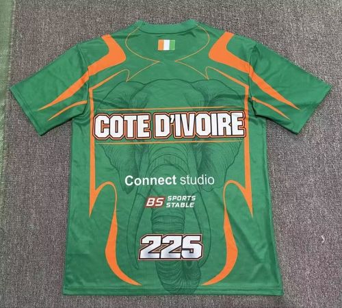 Fan Version 2026 Ivory Coast Green Soundgasm Shirt Côte d'Ivoire Soccer Jersey