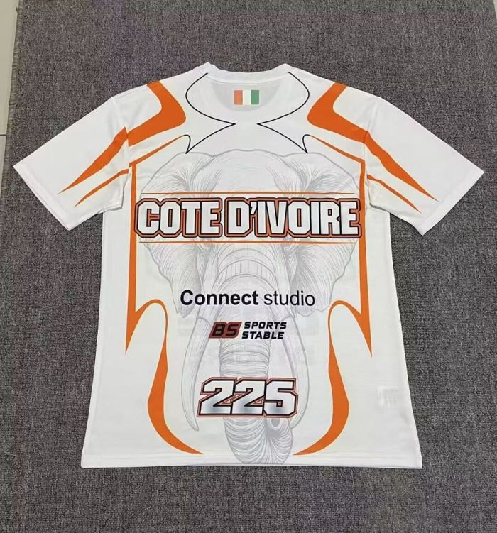 Fan Version 2026 Ivory Coast White Soundgasm Shirt Côte d'Ivoire Soccer Jersey