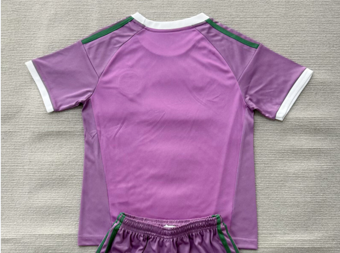 Fan Version 2026-2027 Celtic Purple Goalkeeper Soccer Jersey Football Shirt