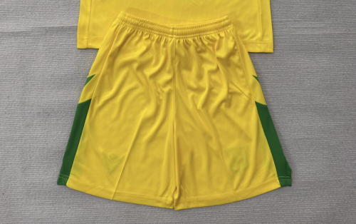 Fan Version 2026-2027 Nantes Home Soccer Shorts Football Shorts
