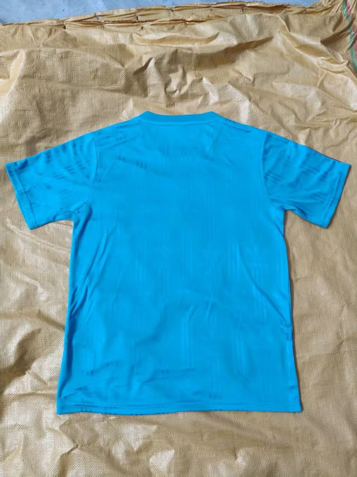 Fan Version 2026 Spain Blue Soccer Training Jersey España Camisetas de Futbol