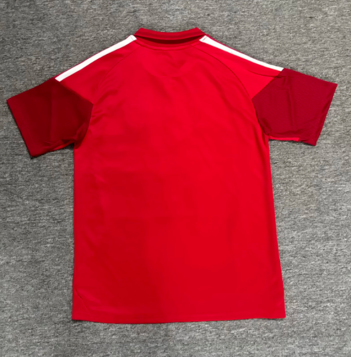 Fan Version 2026-2027 River Plate Red Soccer Polo Football Shirt