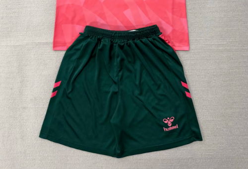 Fan Version 2026-2027 Bremen Third Away Soccer Shorts Napoles Football Shorts