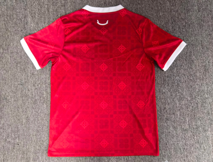 Fan Version 2027 Wales Home Soccer Jersey Football Shirt