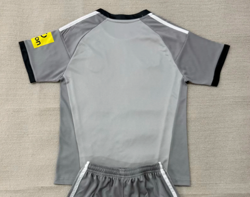 with Sponor Logo Fan Version 2026-2027 Newcastle United Grey Goalkeeper Soccer Jersey Football Shirt