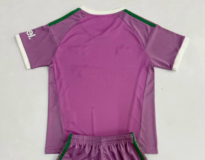 Fan Version 2026-2027 Arsenal Purple Goalkeeper Soccer Jersey Football Shirt