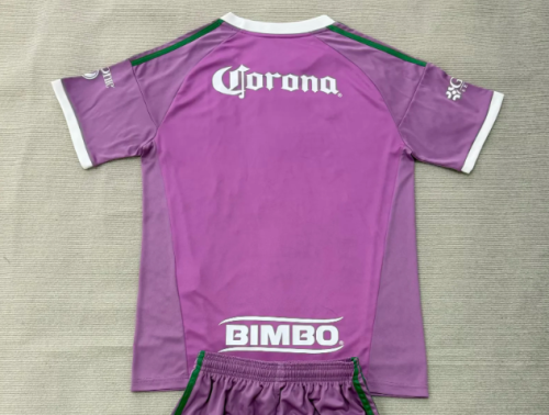 Fan Version 2026-2027 Club America Aguilas Purple Goalkeeper Soccer Jersey Football Shirt