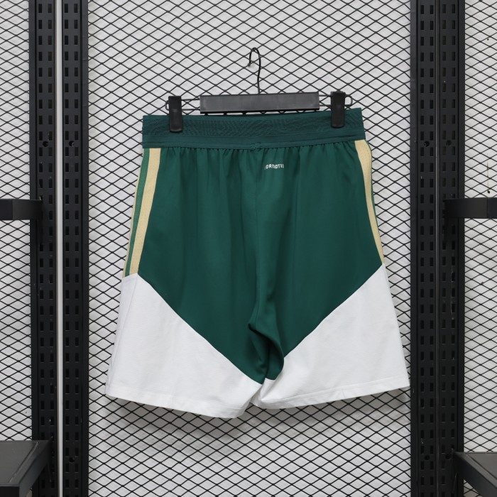 Player Version 2026 Italy Green Soccer Training Shorts Football Shorts