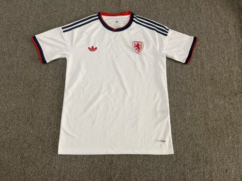 Fan Version 2026 Czech Republic Away White Soccer Jersey Football Shirt