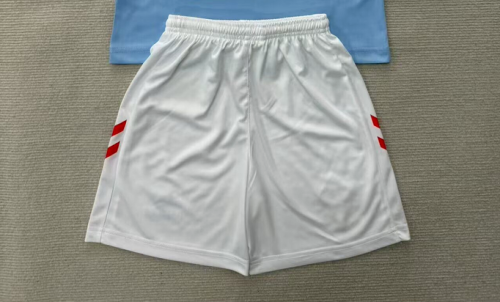 Fan Version 2026-2027 Celta Home Soccer Shorts Football Shorts