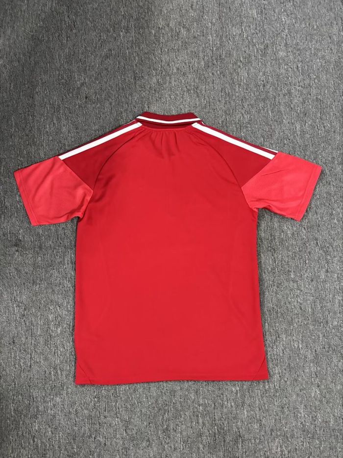 Fan Version 2026-2027 Benfica Red Soccer Polo Football Shirt