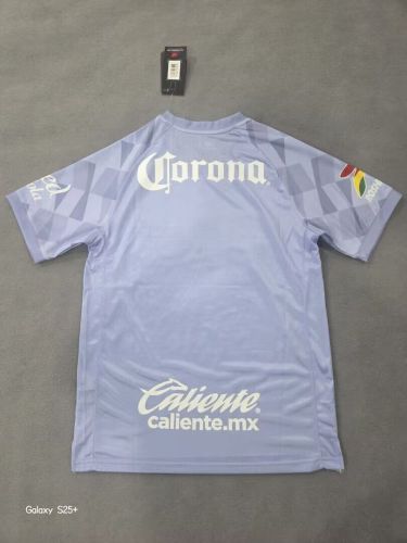 Fan Version 2026-2027 Deportivo Toluca Purple Goalkeeper Soccer Polo Football Shirt