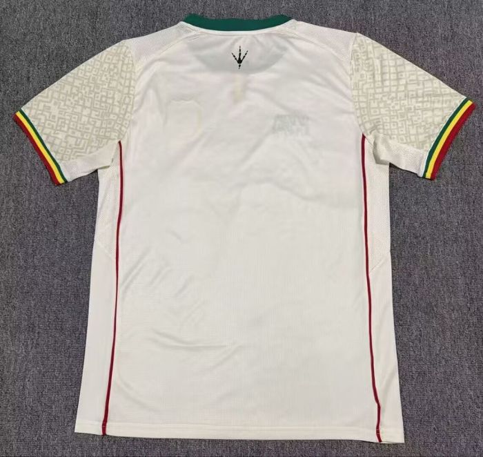 Fan Version 2026 Mali Home Soccer Jersey Football Shirt