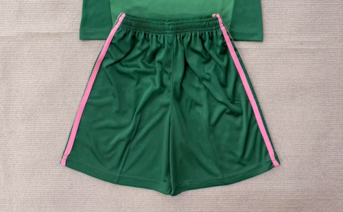 Fan Version 2026-2027 Juventus Green Goalkeeper Soccer Shorts Football Shorts