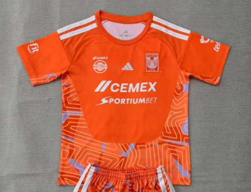 Fan Version 2026-2027 Tigres UANL Orange Goalkeeper Soccer Jersey Football Shirt