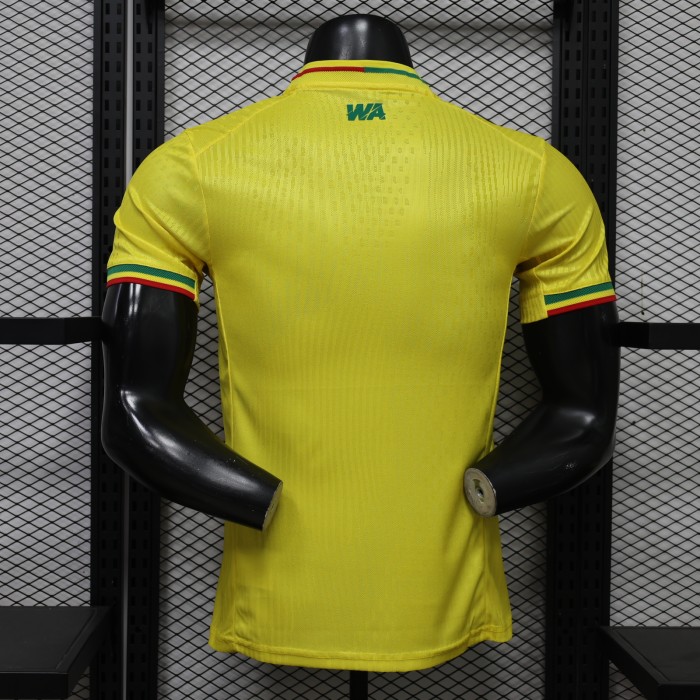 Player Version 2027 Mali Away Yellow Soccer Jersey Football Shirt