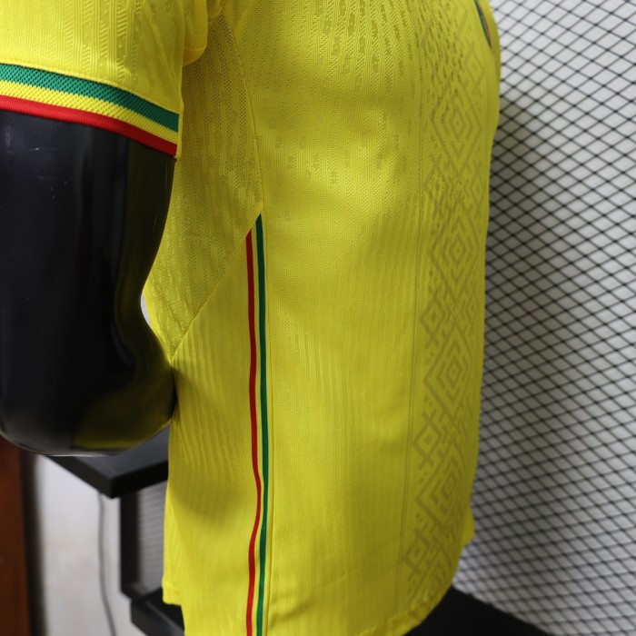 Player Version 2027 Mali Away Yellow Soccer Jersey Football Shirt