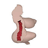 MRLSEXDOLL  Jesse シリコン製  アニメオナホ フィギュアドール 大型オナホール