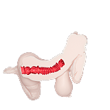 MRLSEXDOLL  LVY（mini版） シリコン製  アニメオナホ フィギュアドール 大型オナホール