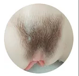 Sanhui doll  #4 シリコン製  ヴァギナ/胸 おっぱいオナホ カスタマイズ可能