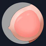 Tantaly Badd Angel トルソー Tantabosom胸 tpe製  ナチュラル肌色 トルソーオナホ 大型オナホール