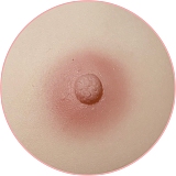 Art-doll 100cm Dカップ 安室奈美 シリコントルソー 大型オナホール アダルトグッズ