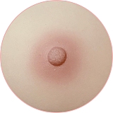 Art-doll 100cm Dカップ 安室奈美 シリコントルソー 大型オナホール アダルトグッズ