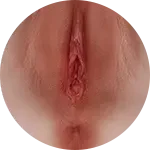 【LoveNestleシリーズ】Erovenus LN-T-009 Gina お尻 等身大オナホ シリコン材質 気持ちいい オナホール アダルトグッズ