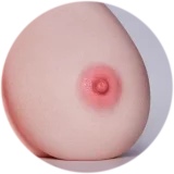 【LoveNestleシリーズ】Erovenus LN-T-004 Aubrey オナホ 下半身 シリコン材質 超柔らかい 大人のおもちゃ