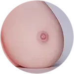 【LoveNestleシリーズ】Erovenus LN-T-004 Aubrey オナホ 下半身 シリコン材質 超柔らかい 大人のおもちゃ