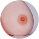 【LoveNestleシリーズ】Erovenus LN-T-011 Jasmine 等身大トルソ シリコン材質 下半身 据え置き大型オナホ