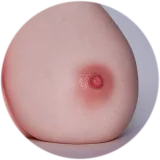 【LoveNestleシリーズ】Erovenus LN-T-011 Jasmine 等身大トルソ シリコン材質 下半身 据え置き大型オナホ