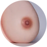 【LoveNestleシリーズ】Erovenus LN-T-011 Jasmine 等身大トルソ シリコン材質 下半身 据え置き大型オナホ