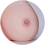 【LoveNestleシリーズ】Erovenus LN-T-012 Veronica トルソ等身大 シリコン材質 カスタマイズオナホ 据え置き大型オナホ