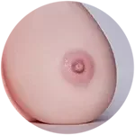 【LoveNestleシリーズ】Erovenus LN-T-019 Sarah 等身大下半身トルソ シリコン材質 据え置き大型オナホ