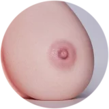 【LoveNestleシリーズ】Erovenus LN-T-022 Medium Olivia 等身大トルソ シリコン材質 リアル下半身 据え置き大型オナホ