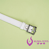 SMプレイ 初心者 安全