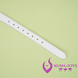 支配的プレイ ギア