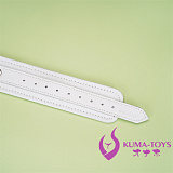 調教グッズ 最新