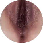 【LoveNestleシリーズ】Erovenus LN-T-015 Jessica-2 電動トルソ 等身大 シリコン材質  据え置き大型オナホ