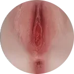 【LoveNestleシリーズ】Erovenus LN-T-015 Jessica-2 電動トルソ 等身大 シリコン材質  据え置き大型オナホ