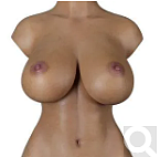 【15層塗装！超リアル皮膚メイク付き】Erovenus  LN-T-036 Hanah シリコン材質 リアルトルソー オーダーメイド 繰り返し大型オナホ