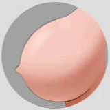 Tantaly Scarlett トルソー tpe製  ナチュラル肌色 トルソーオナホ 大型オナホール